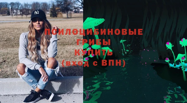 спиды Алзамай
