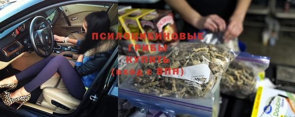 спиды Алзамай