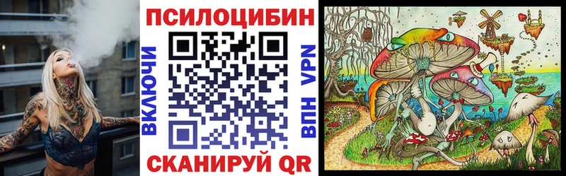 Псилоцибиновые грибы Cubensis  даркнет сайт  Салават 